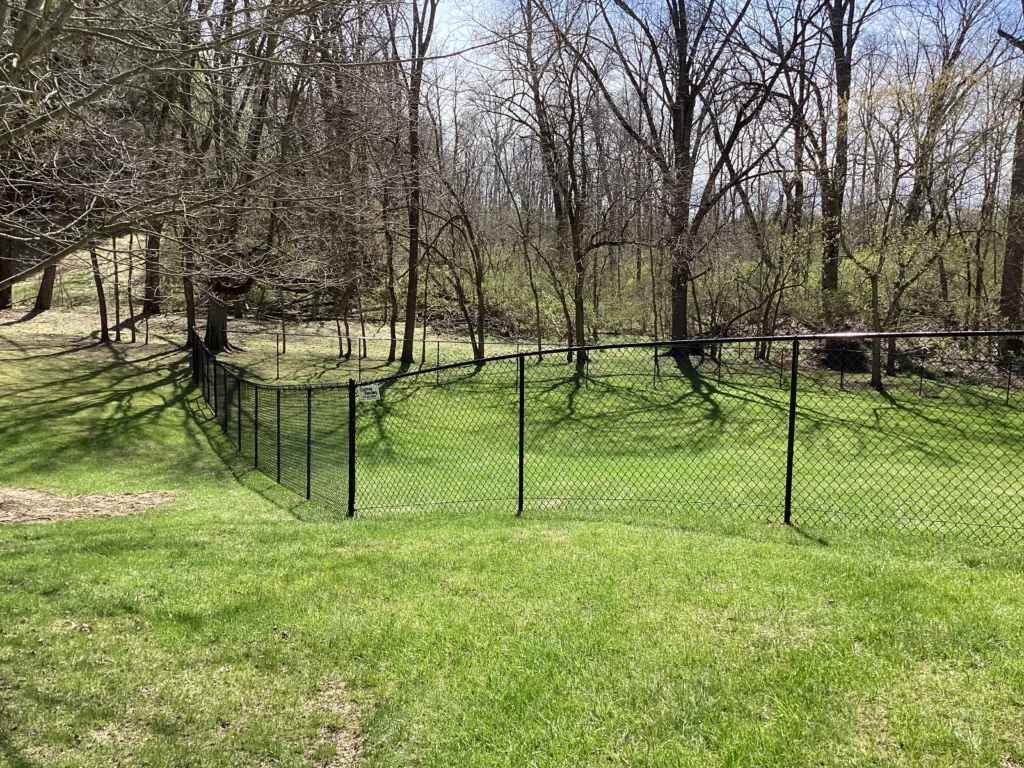 A black vinyl-coated chain-link fence borders a grassy hill that transitions into a dense forest of leafless trees