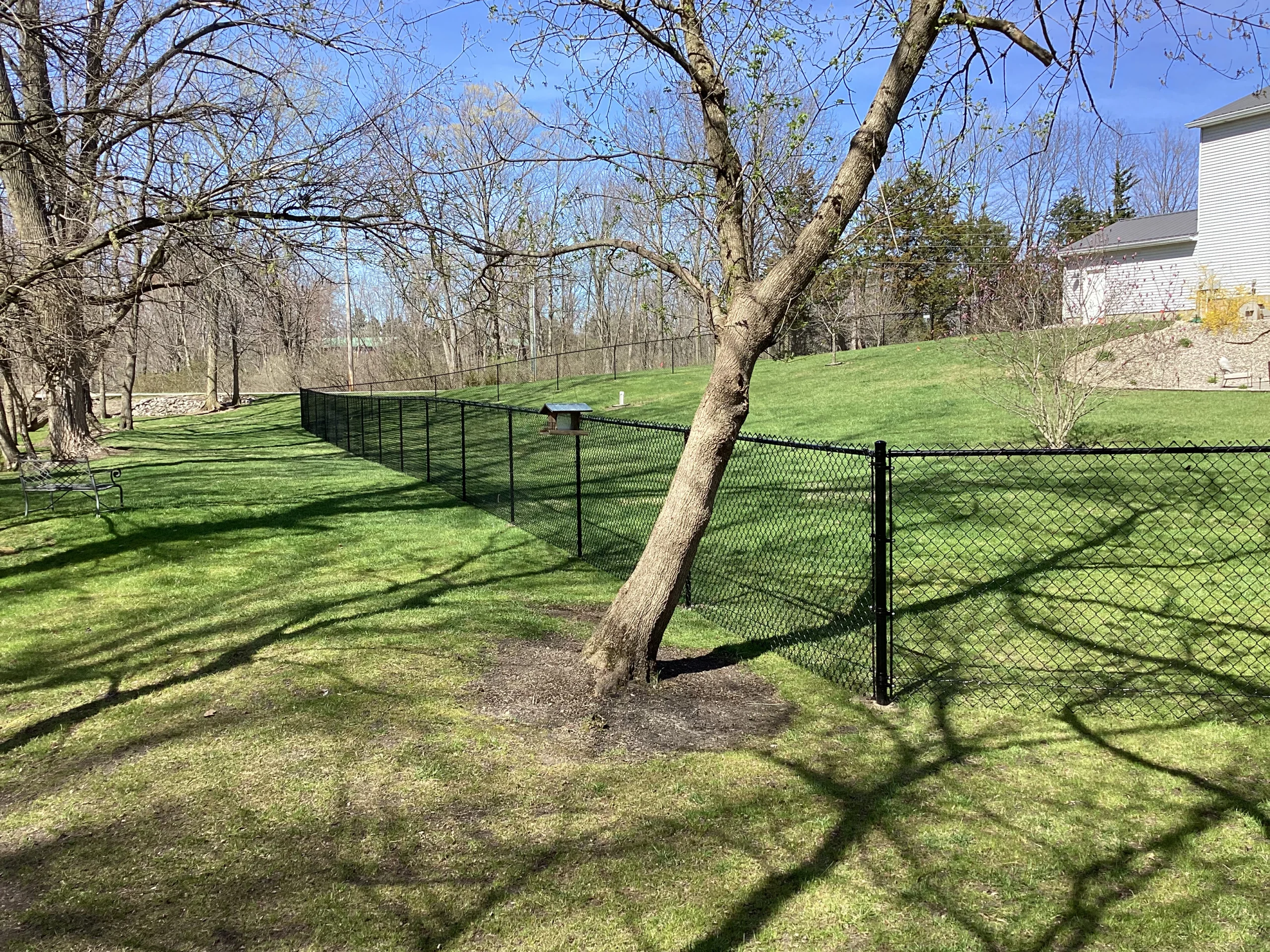 A long run of black vinyl-coated chain-link fencing follows the property line of a grassy sloped yard with several trees